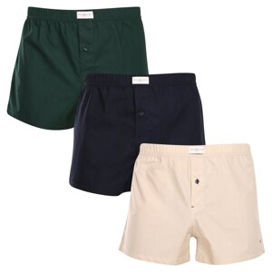 3PACK Men's Shorts Tommy Hilfiger Multicolor