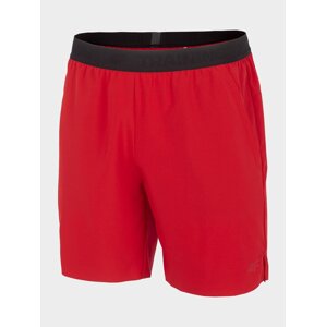 Men's Sports Shorts 4F