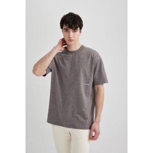 DEFACTO Boxy Fit Crew Neck Printed T-Shirt