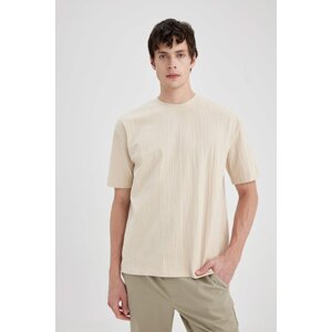 DEFACTO Oversize Fit Crew Neck T-Shirt