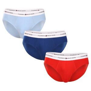 3PACK Men's Briefs Tommy Hilfiger multicolor