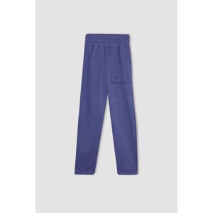 DEFACTO Carrot Fit Pants