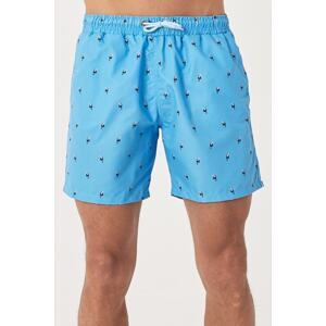 AC&Co / Altınyıldız Classics Men's Blue Standard Fit Casual Patterned Swimwear Marine Shorts
