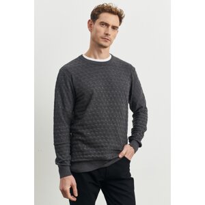 ALTINYILDIZ CLASSICS Men's Anthracite Standard Fit Normal Cut, Bicycle Collar Patterned Knitwear Sweater.