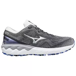 Mizuno Wave Skyrise 2 / Blackened Pearl / Silver / Antarctica Women's Running Shoes