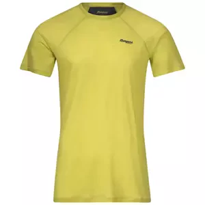 Men's T-shirt Bergans Floyen Wool Tee Green