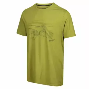 Men's T-shirt Inov-8 Graphic "Helvellyn" Green