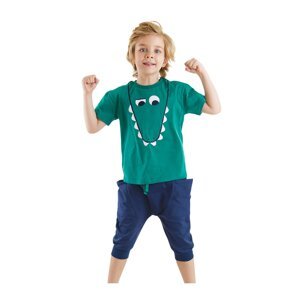 Denokids Funny Crocodile Boy T-shirt Baggy Shorts Set