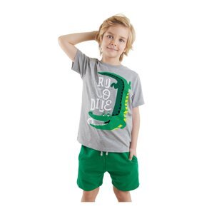 Denokids Croco Boys T-shirt Shorts Set
