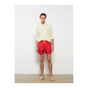 LC Waikiki Men's Patterned Shorts, Shorts