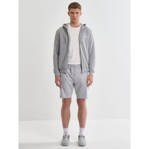 Big Star Man's Shorts 110344  901