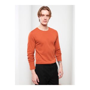 LC Waikiki Crew Neck Long Sleeved Basic Men's T-Shirt