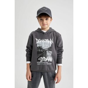 DEFACTO Boy Hooded Printed Thick Sweatshirt