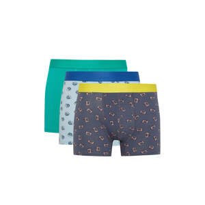 DEFACTO 3 piece Regular Fit Knitted Boxer