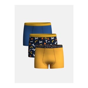 LC Waikiki Printed Boy Boxer 3-pack