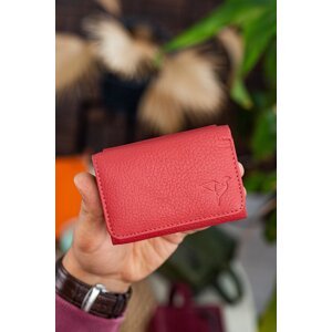 Garbalia Zeus Genuine Leather Mini Women's Wallet with Coin Eyes, Dried Rose